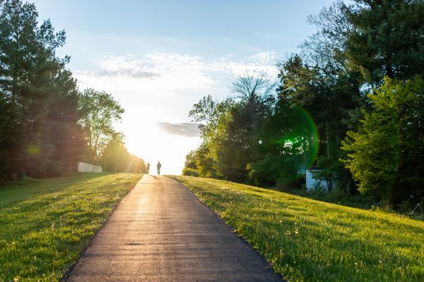 Cost of Asphalt Pathway Installation in Napa