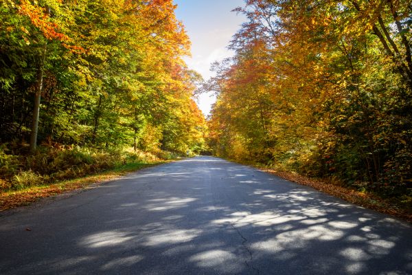 Cost of Blacktop Replacement in Napa