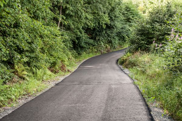 Cost of Asphalt Driveway Replacement in Napa